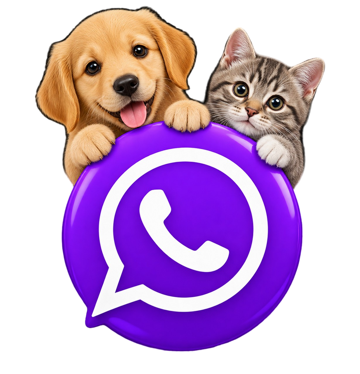 WhatsApp La Camita Pet